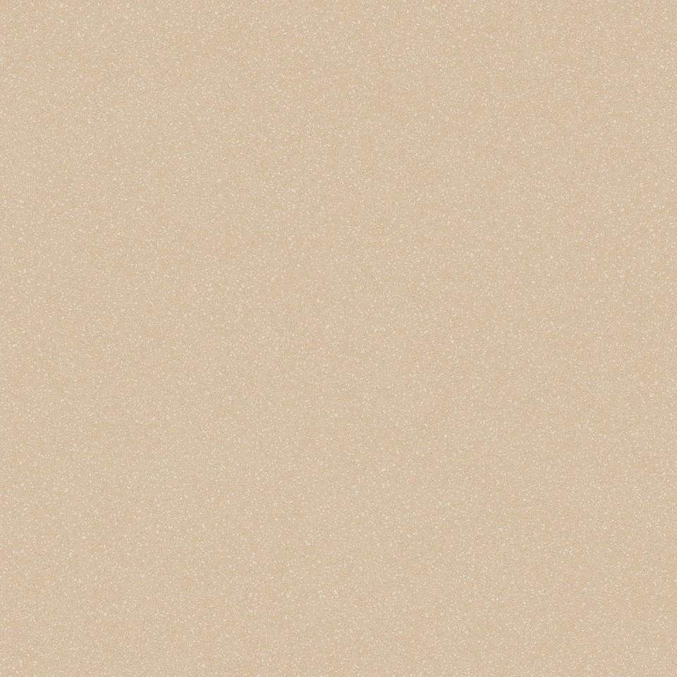 

Линолеум коммерческий рулон Tarkett ACCZENT PRO - Aspect 5 (3 x 20 м)