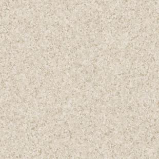 

Линолеум коммерческий TARKETT ECLIPSE PREMIUM 0036 (рулон 2 x 23 м)