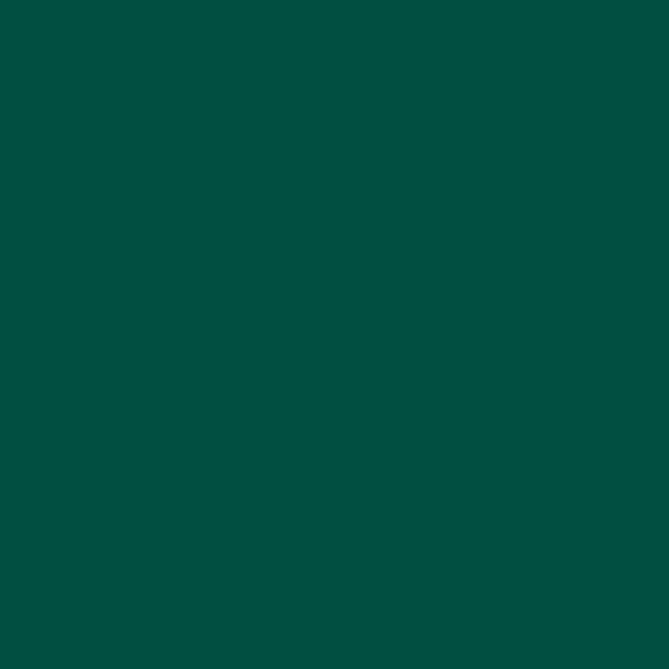 

Линолеум коммерческий рулон Tarkett OMNISPORTS V35 FOREST GREEN (2 x 20,5 м)
