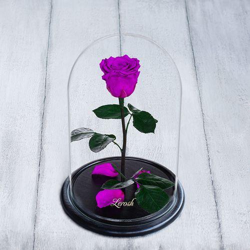 

Роза в колбе standard фиолетовая BST 830016