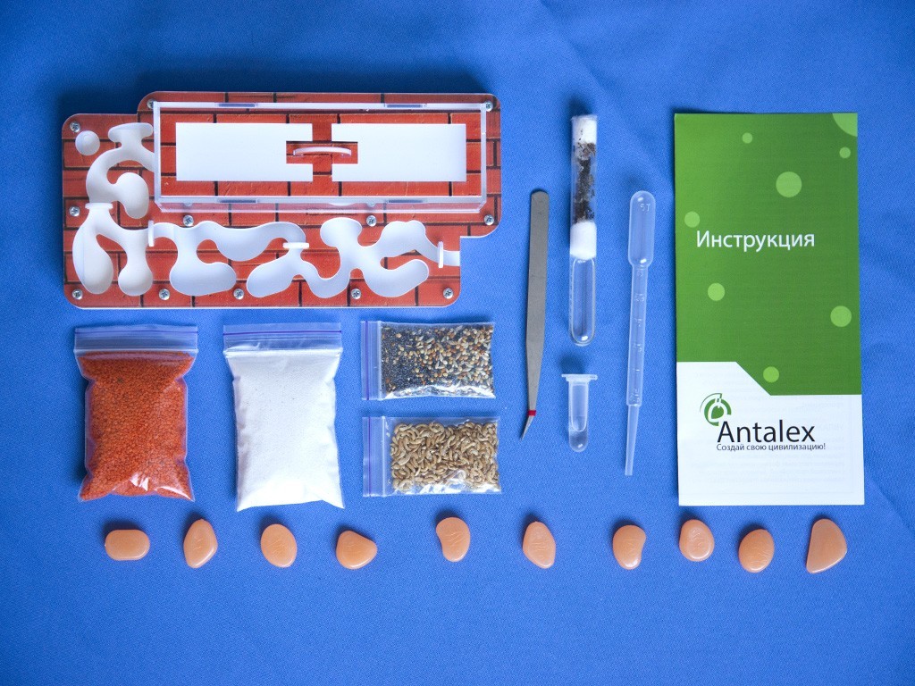 

Муравьиная ферма Antalex Цивилизация Керамит