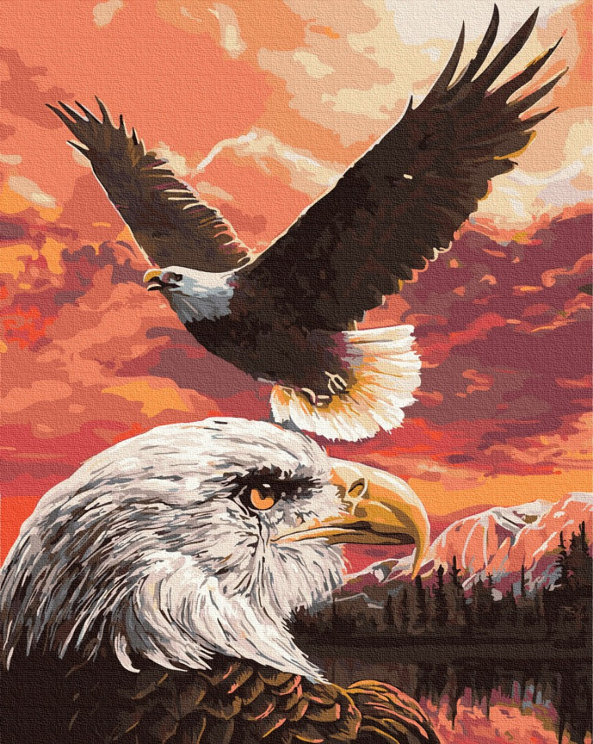 

Картина по номерам - Полёт орлов BrushMe 40*50см. (GX36240)