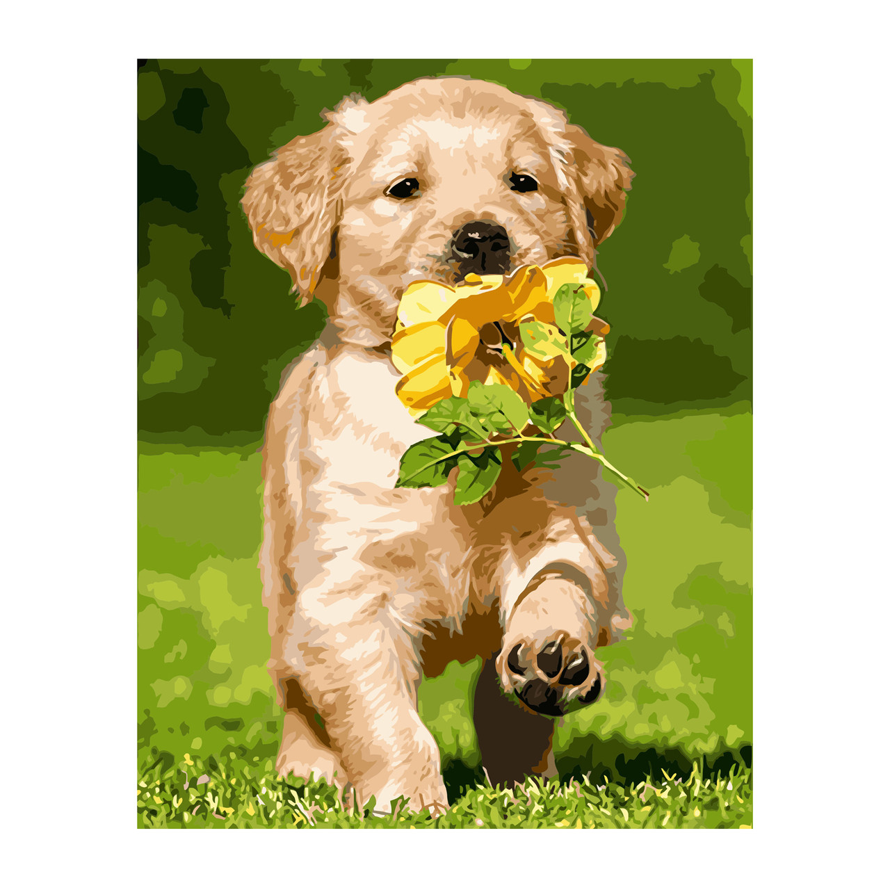 

Картина по номерам Маленький лабрадор, 40*50 см, ST