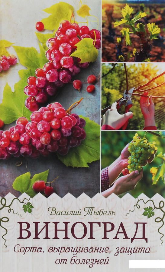 

Виноград. Сорта, выращивание, защита от болезней (1253979)