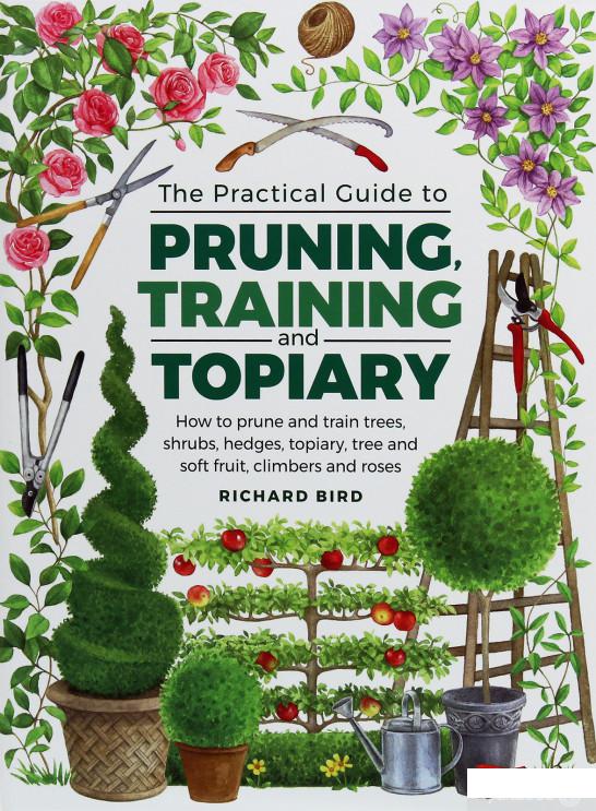 

Practical Guide to Pruning, Training and Topiary. How to Prune and Train Trees, Shrubs, Hedges, Topiary, Tree and Soft Fruit, Climbers and Roses (1251987)
