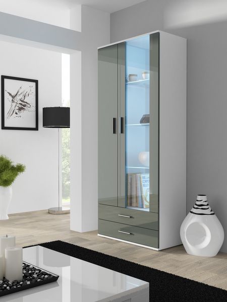 

Витрина стеклянная для гостиной CAMA SOHO S6 2D2S Белый мат/Серый глянец с подсветкой Польша