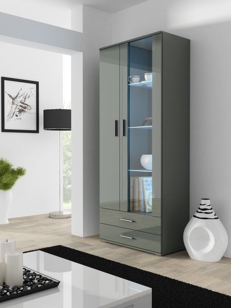 

Витрина в зал CAMA SOHO S6 2D2S Серый мат/Серый глянец с подсветкой Польша