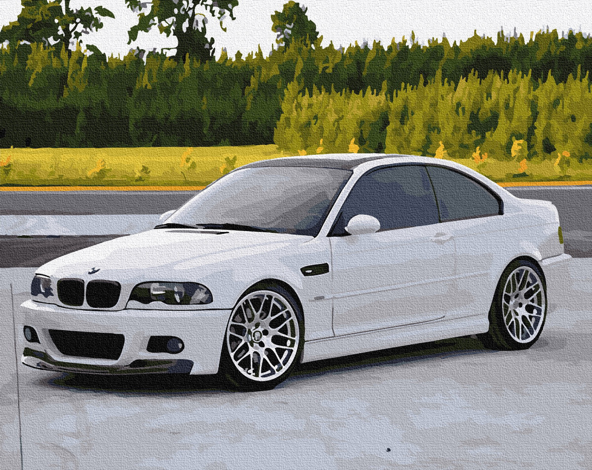 

Картина по номерам без коробки Paintboy Белый bmw 40х50см (GX 33801)