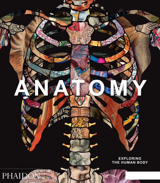 

Anatomy. Exploring the Human Body (1131138)