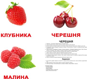 

Набор ламинированных карточек "Ягоды", на русском языке - Вундеркинд с пелёнок (20-532971)