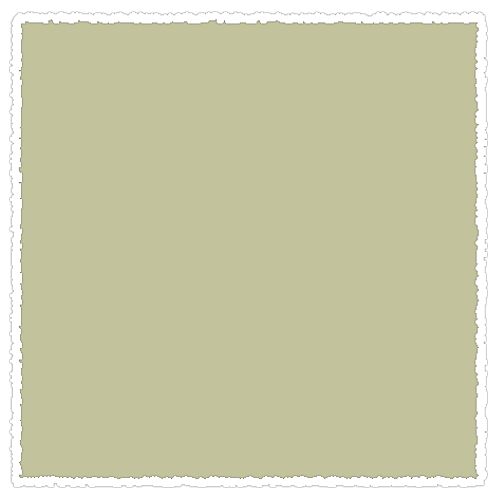 

Пастель сухая мягкая Schmincke Greenish umber 030 O