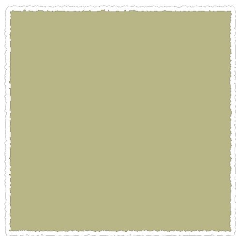 

Пастель сухая мягкая Schmincke Olive green 1 085 M