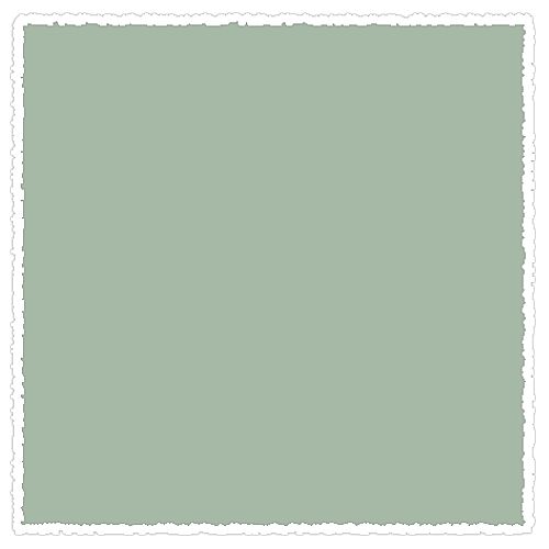 

Пастель сухая мягкая Schmincke Cold green 1 080 M
