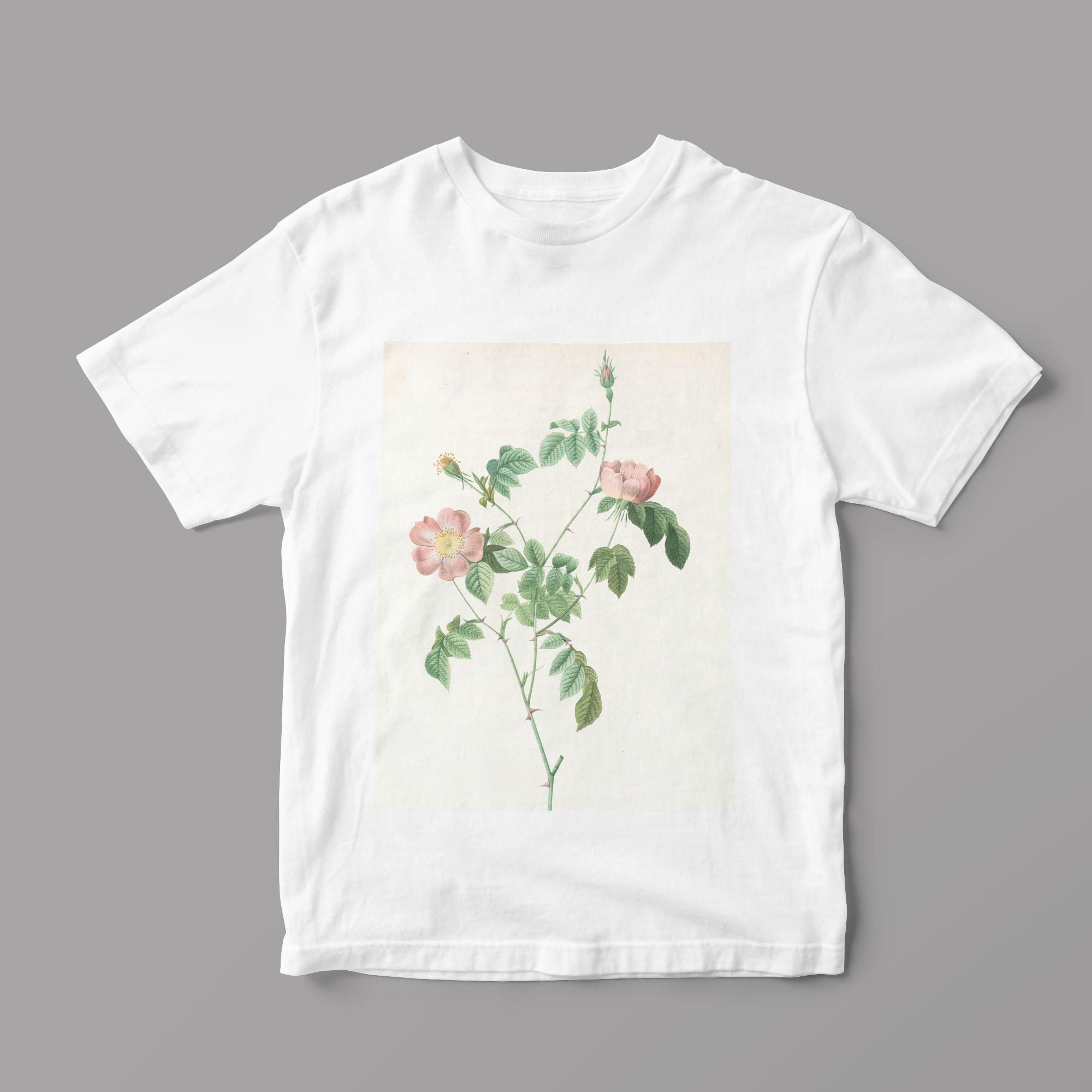 

Футболка Artel FWomen «Винтажный цветочный принт Австрийская шиповник роза» S