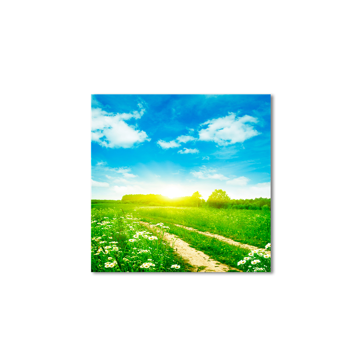 

Модульная картина Artel «Ранее летнее утро» 60x60 см