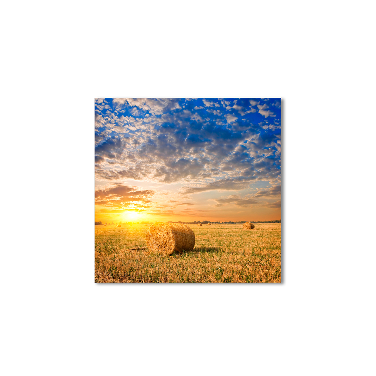 

Модульная картина Artel «Стоги сена в поле» 60x60 см