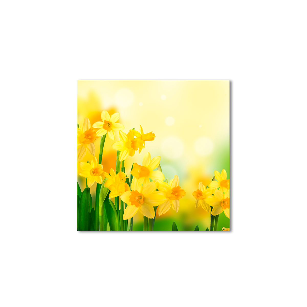 

Модульная картина Artel «Желтые нарциссы» 60x60 см