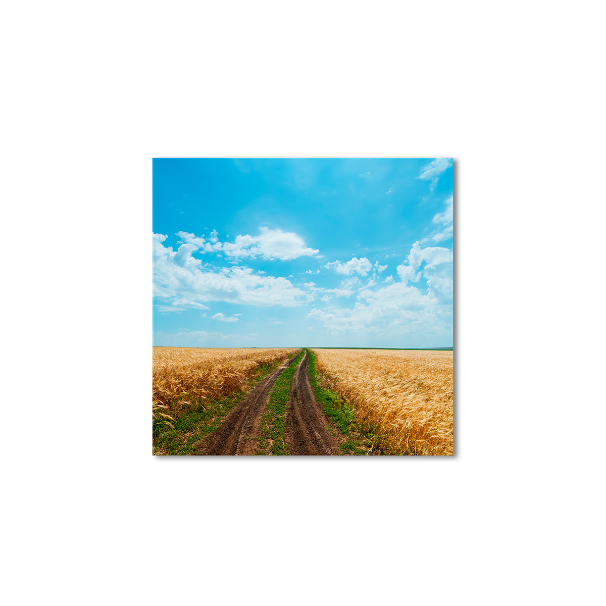 

Модульная картина Artel «Широкие просторы» 120x120 см