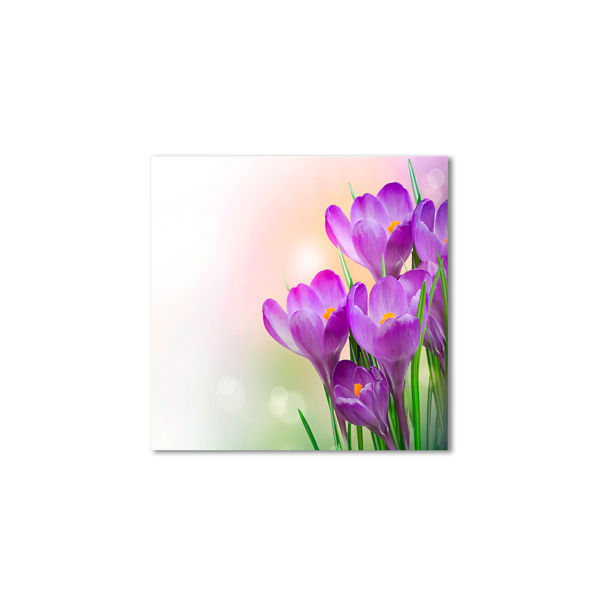 

Модульная картина Artel «Цветы шафрана» 60x60 см