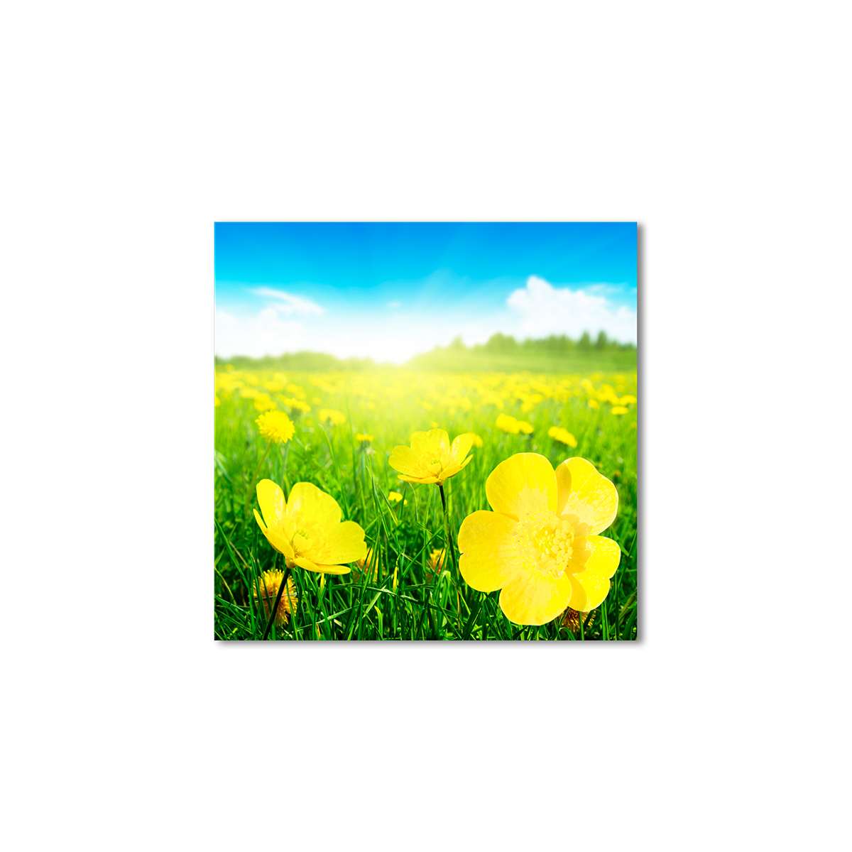 

Модульная картина Artel «Желтые первоцветы» 120x120 см