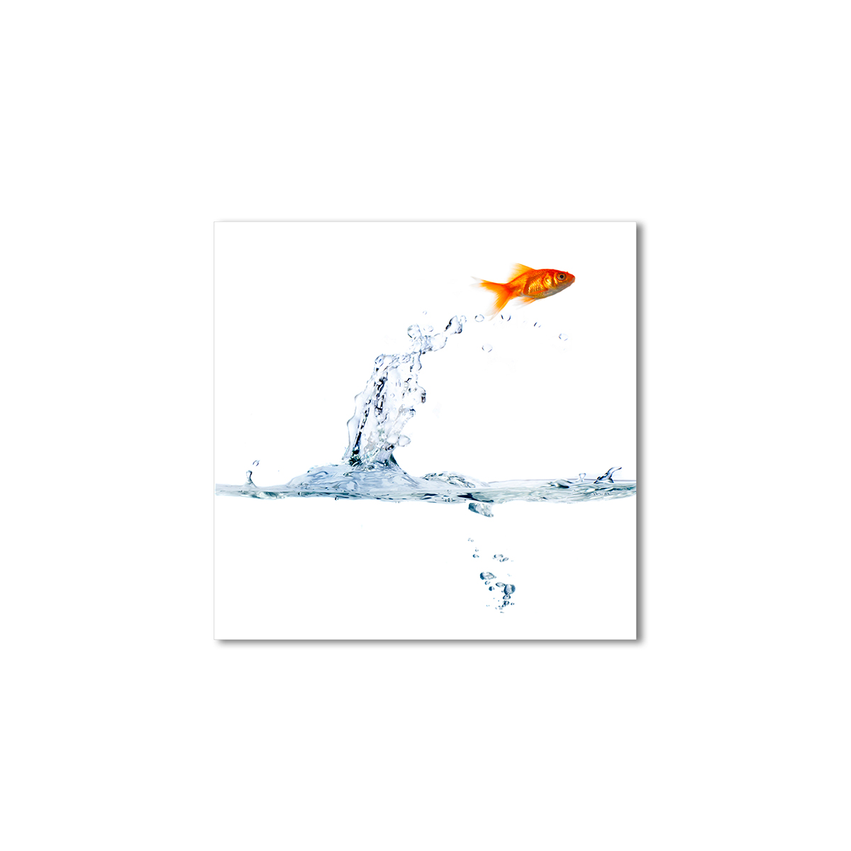 

Модульная картина Artel «Рыбка выпрыгнула из воды» 120x120 см