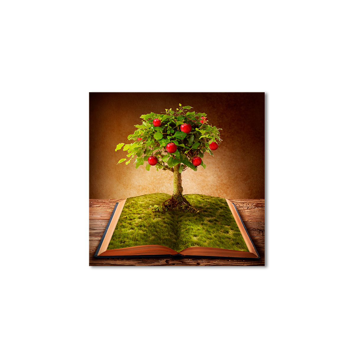 

Модульная картина Artel «О знаниях мудрость» 50x50 см