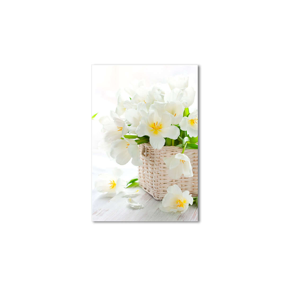 

Модульная картина Artel «Белые тюльпаны в корзинке» 105x70 см