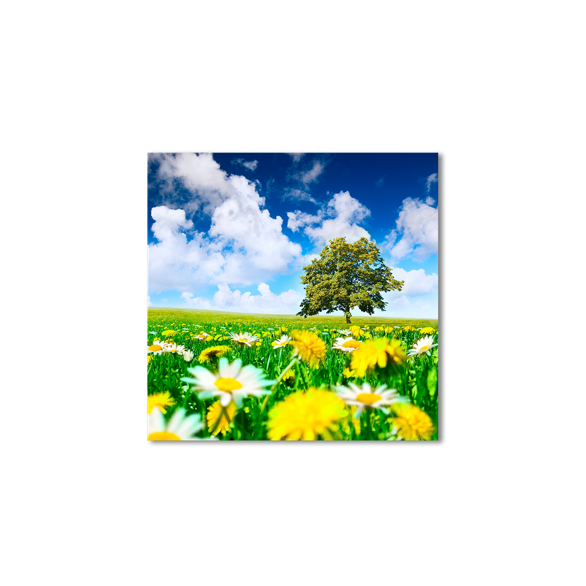 

Модульная картина Artel «Летнее поле» 120x120 см