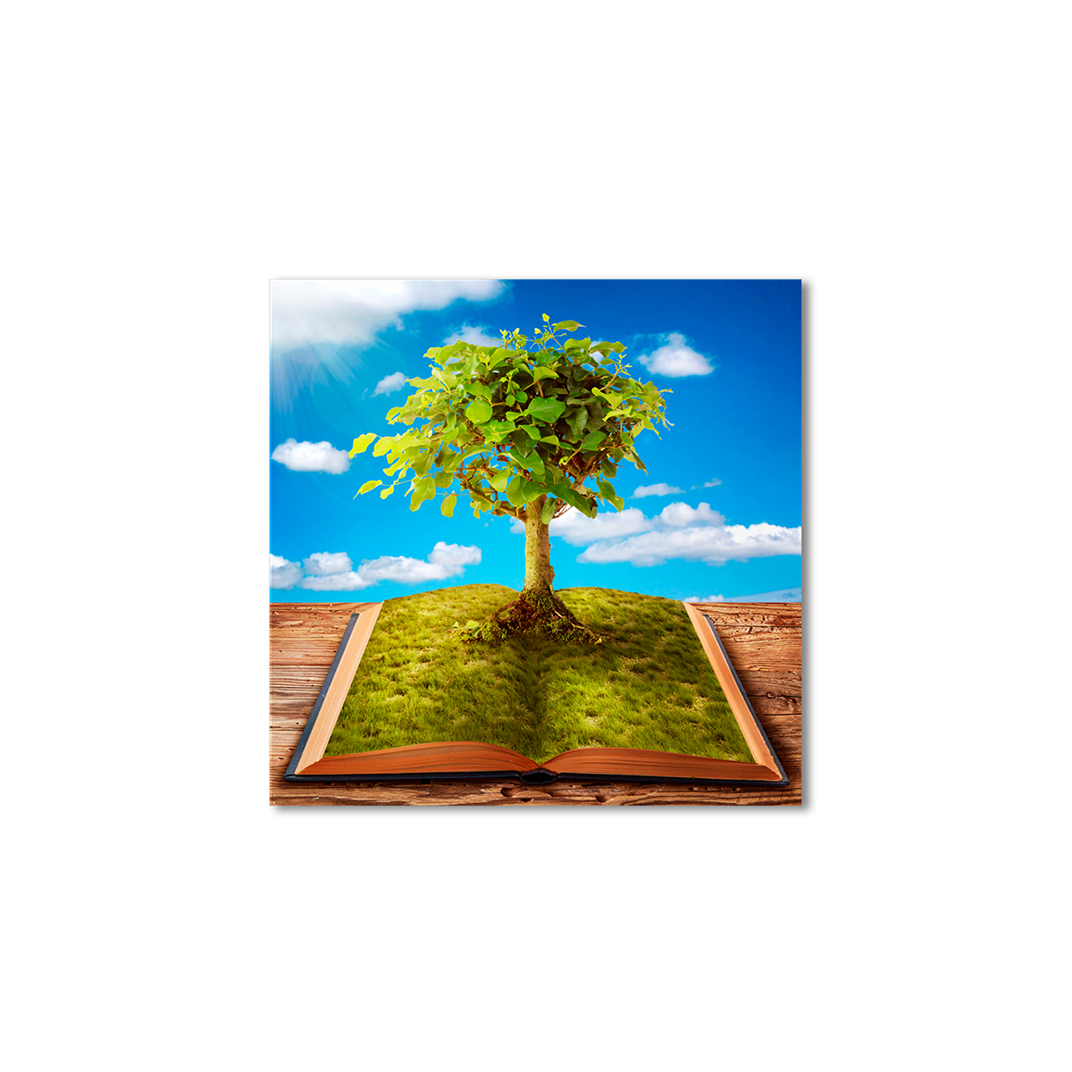 

Модульная картина Artel «Дерево растущее из книги» 80x80 см