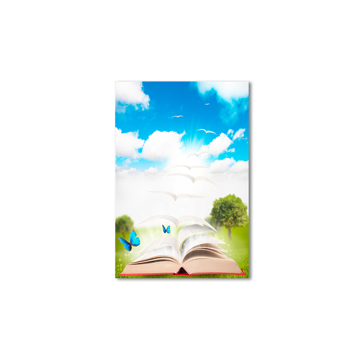 

Модульная картина Artel «Книга полета» 60х40 см