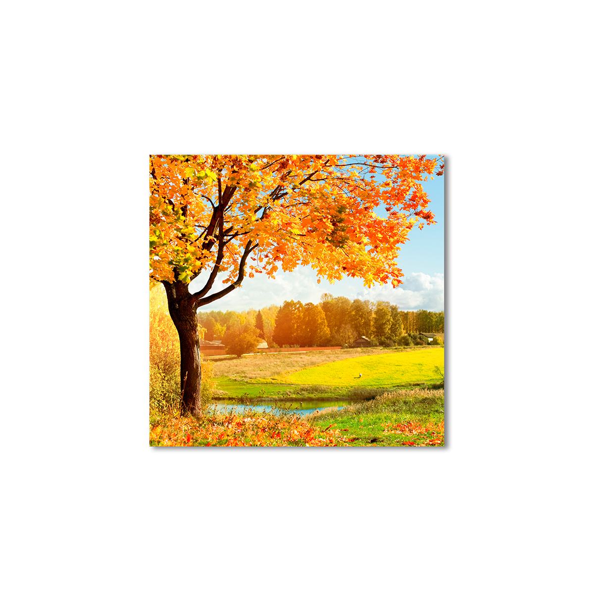 

Модульная картина Artel «Осеннее село» 100x100 см