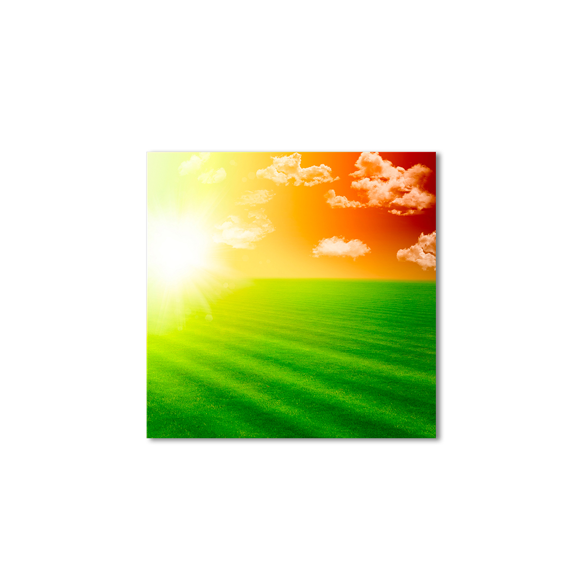 

Модульная картина Artel «Зеленое поле оранжевое небо» 80x80 см