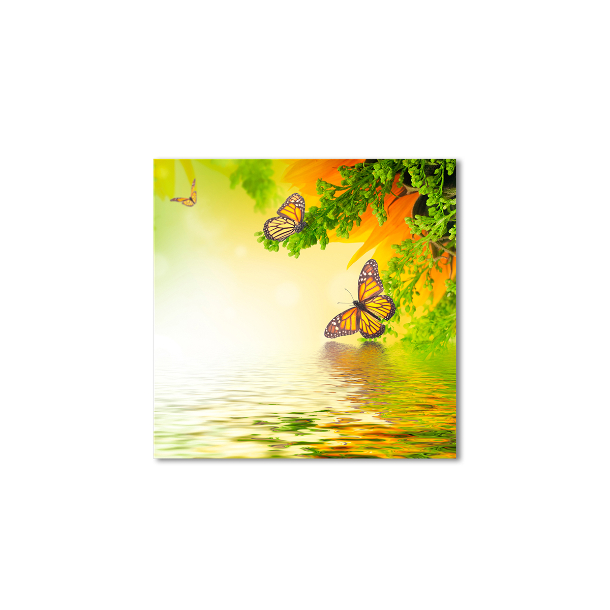 

Модульная картина Artel «Бабочки над водой» 90x90 см