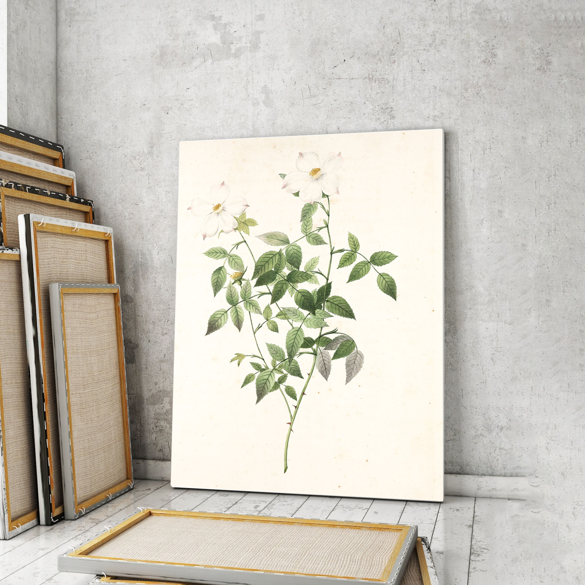 

Модульная картина Artel «Винтажная акварельная Каролина Роуз» 90x60 см