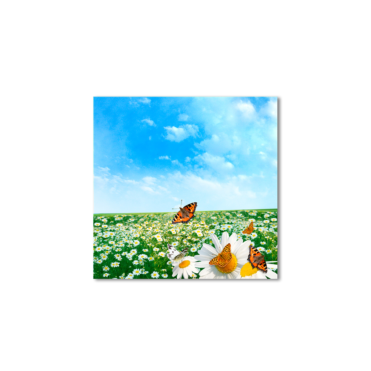 

Модульная картина Artel «Бабочки в поле ромашек» 120x120 см