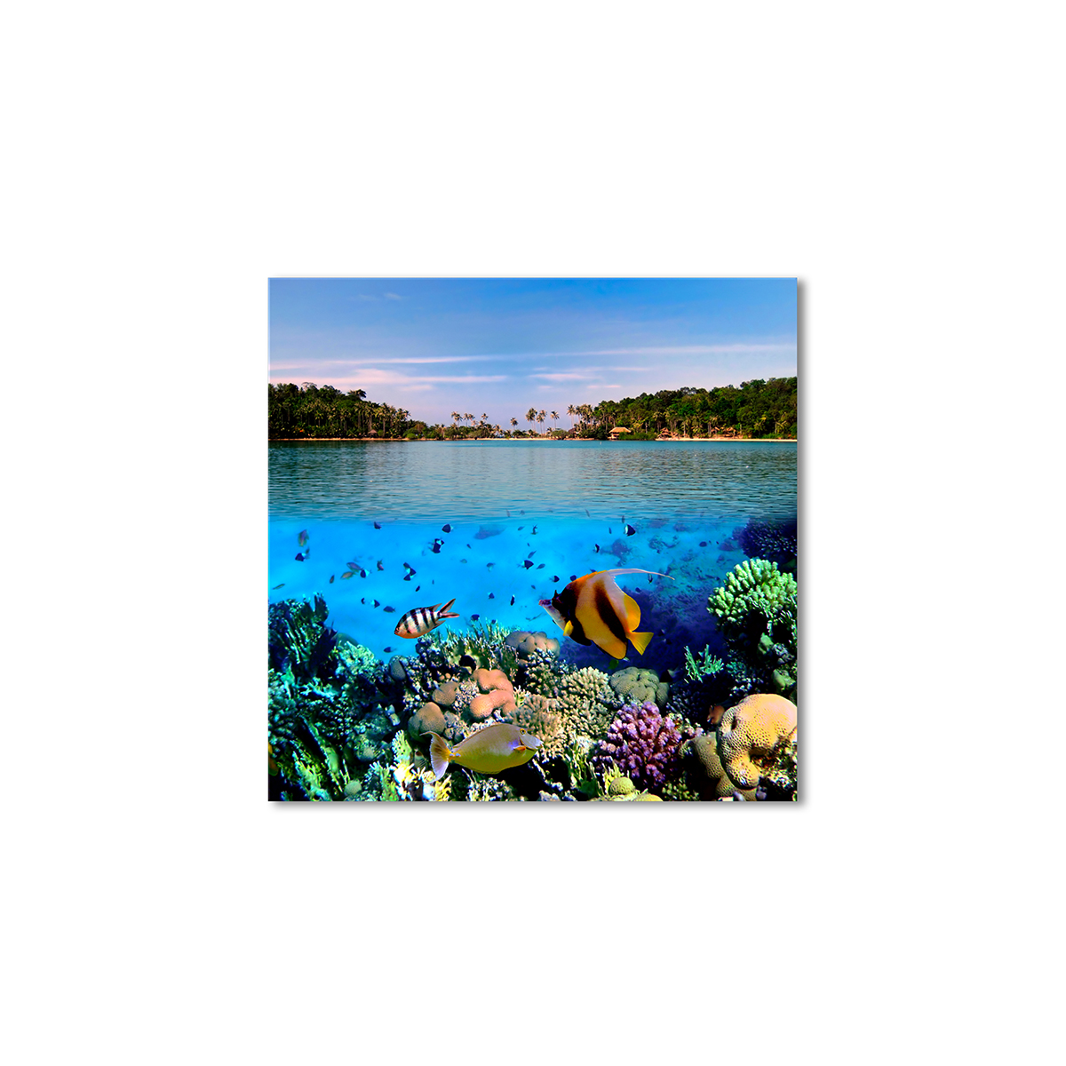 

Модульная картина Artel «Яркая фауна» 60x60 см