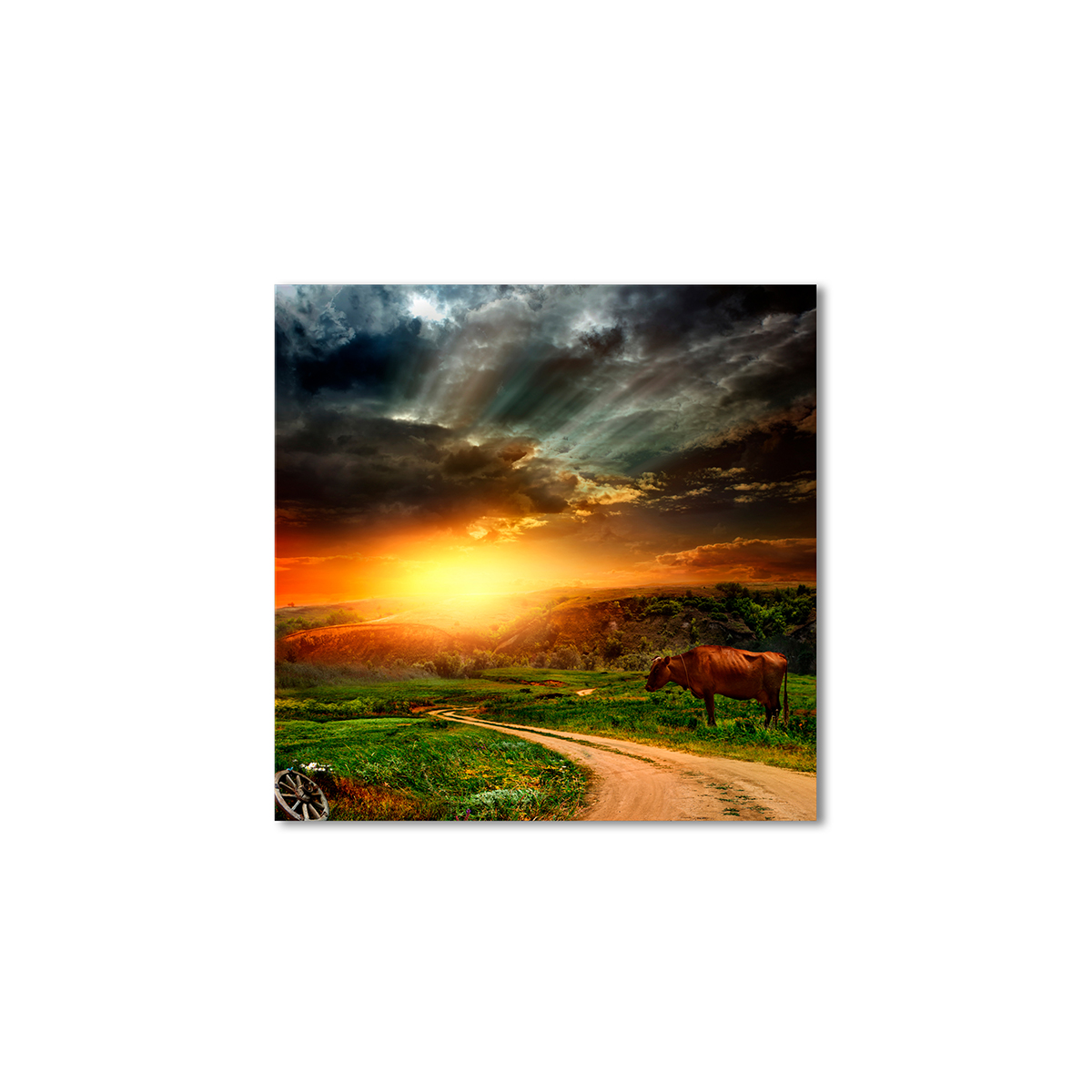 

Модульная картина Artel «Сельские луга с коровой» 120x120 см
