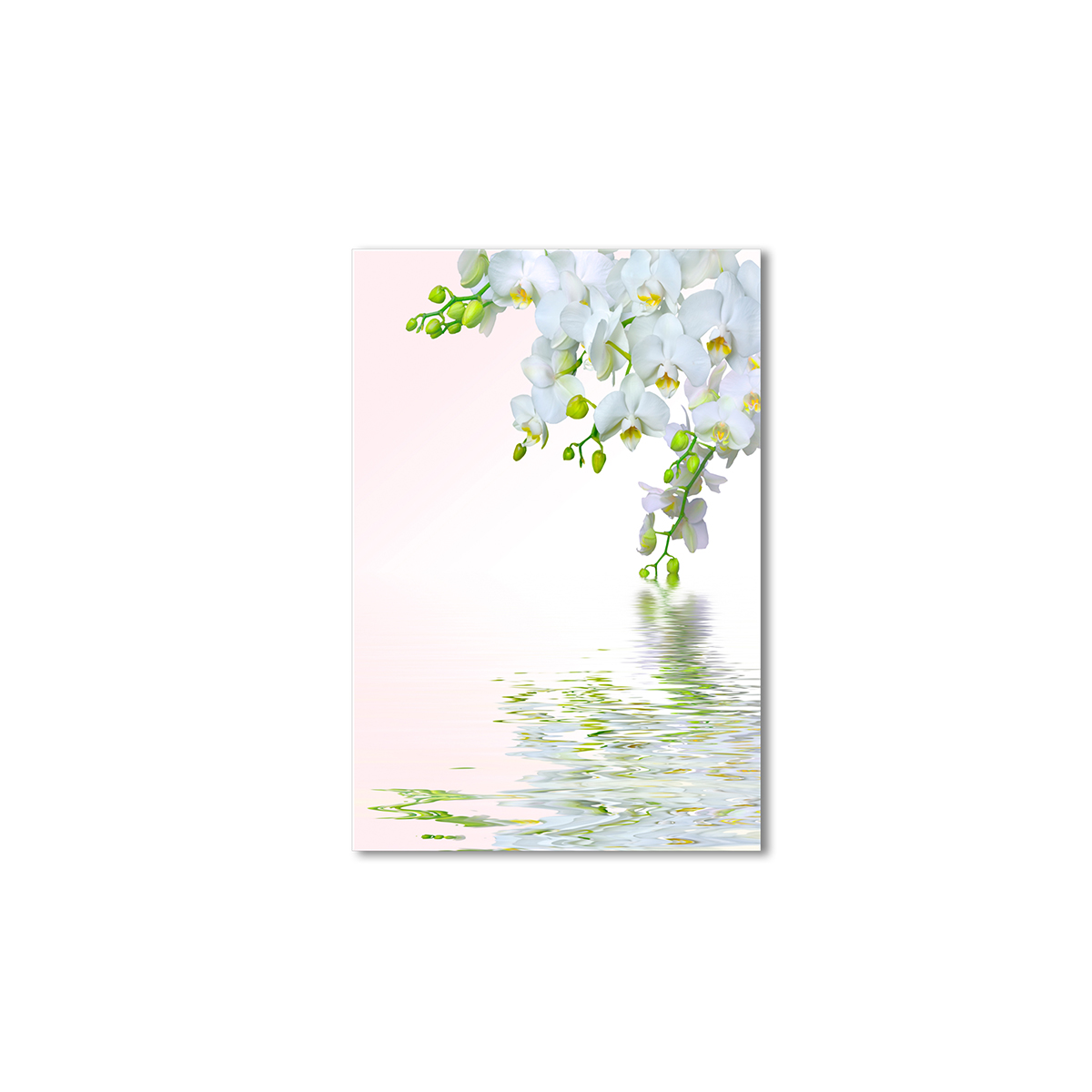 

Модульная картина Artel «Белые орхидеи на белом» 150x100 см