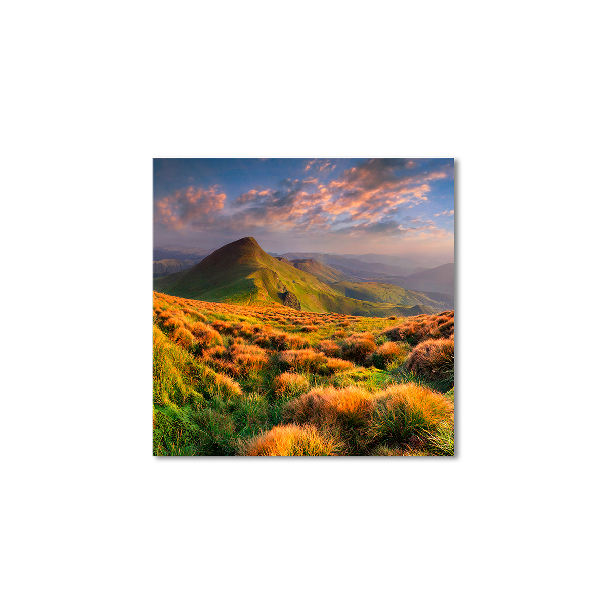 

Модульная картина Artel «Красоты Алтая» 50x50 см