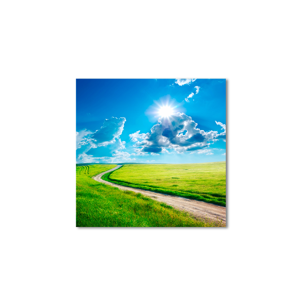 

Модульная картина Artel «Летний день» 60x60 см