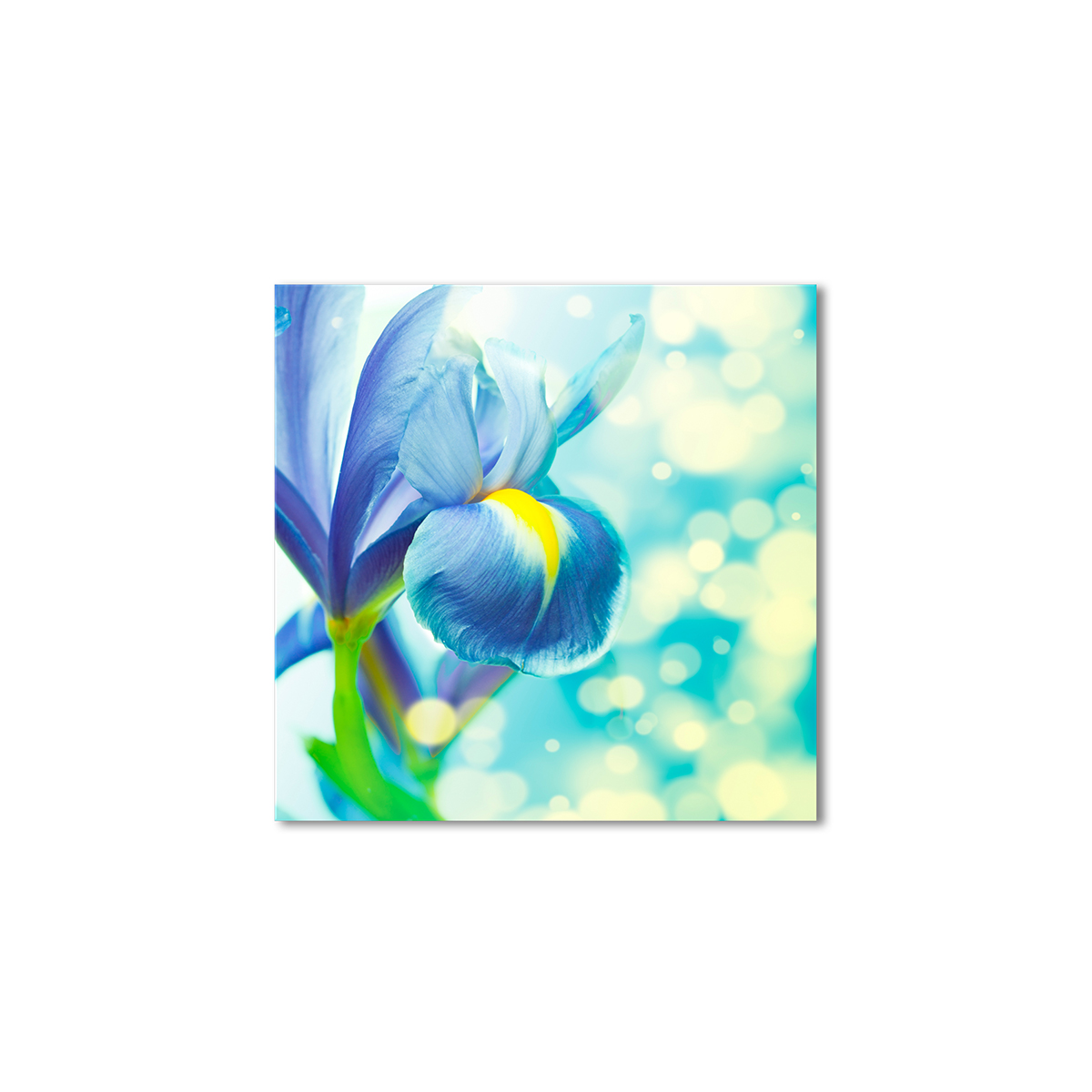 

Модульная картина Artel «Голубой ирис» 50x50 см