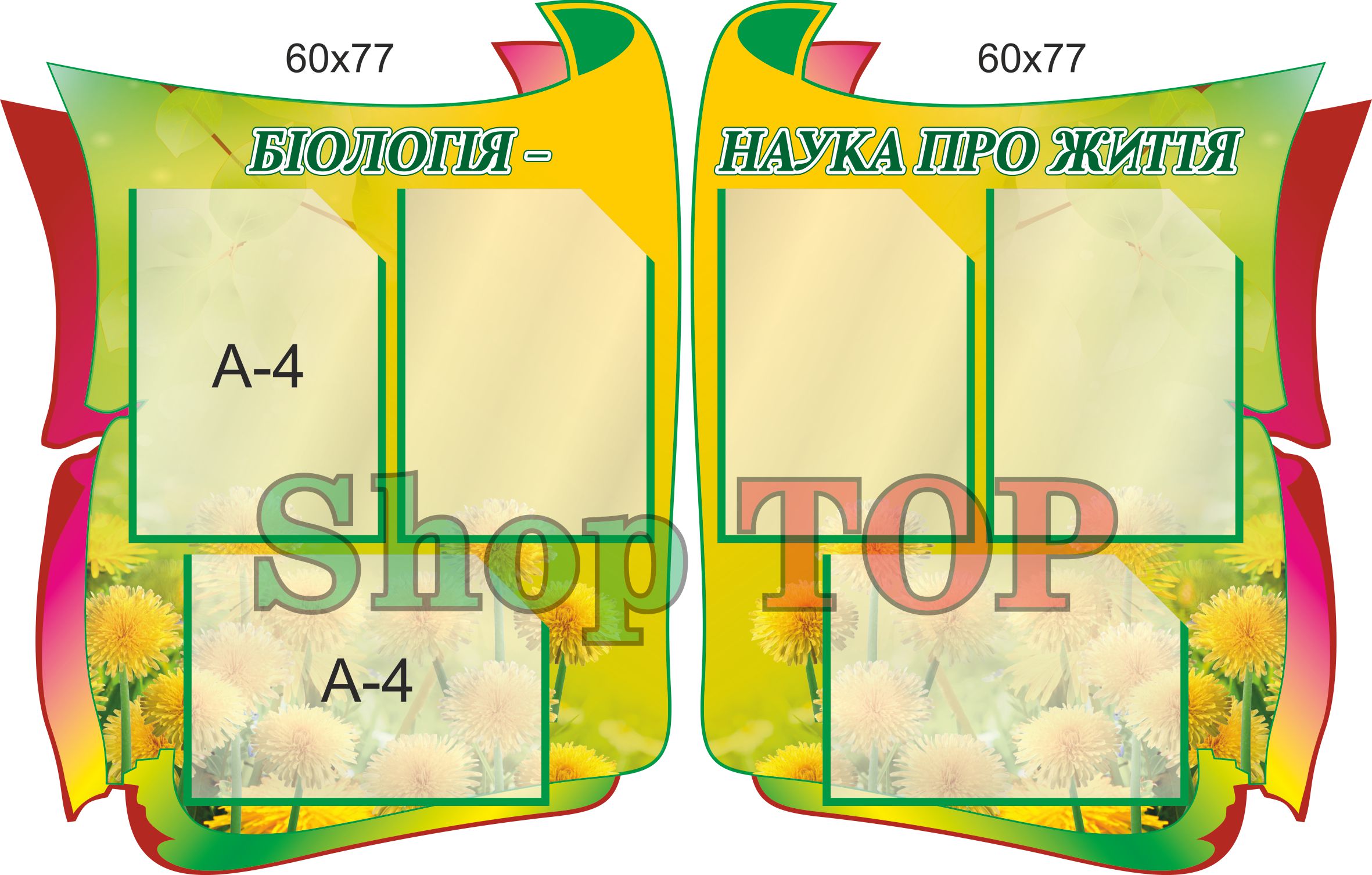 

Стенд пластиковый из 2-х частей "Біологія - наука про житт" 600х770мм.- 2шт. Код КБ-1012