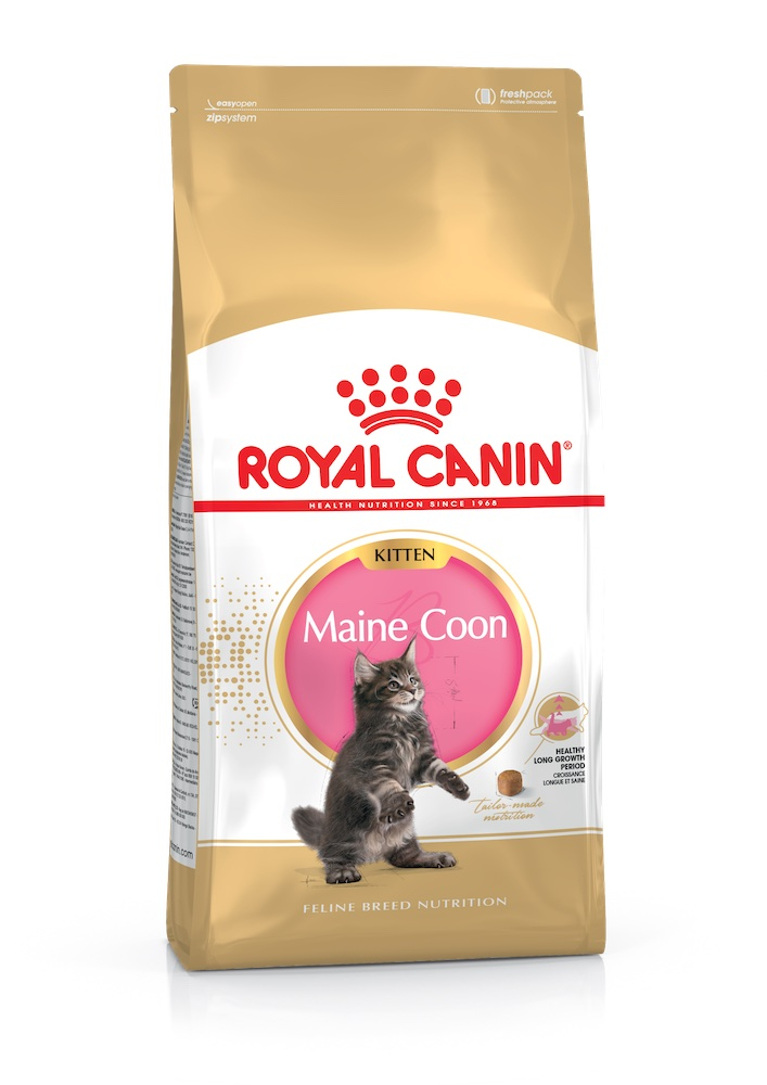 

Сухий корм Royal Canin Maine Coon Kitten 2 кг + контейнер