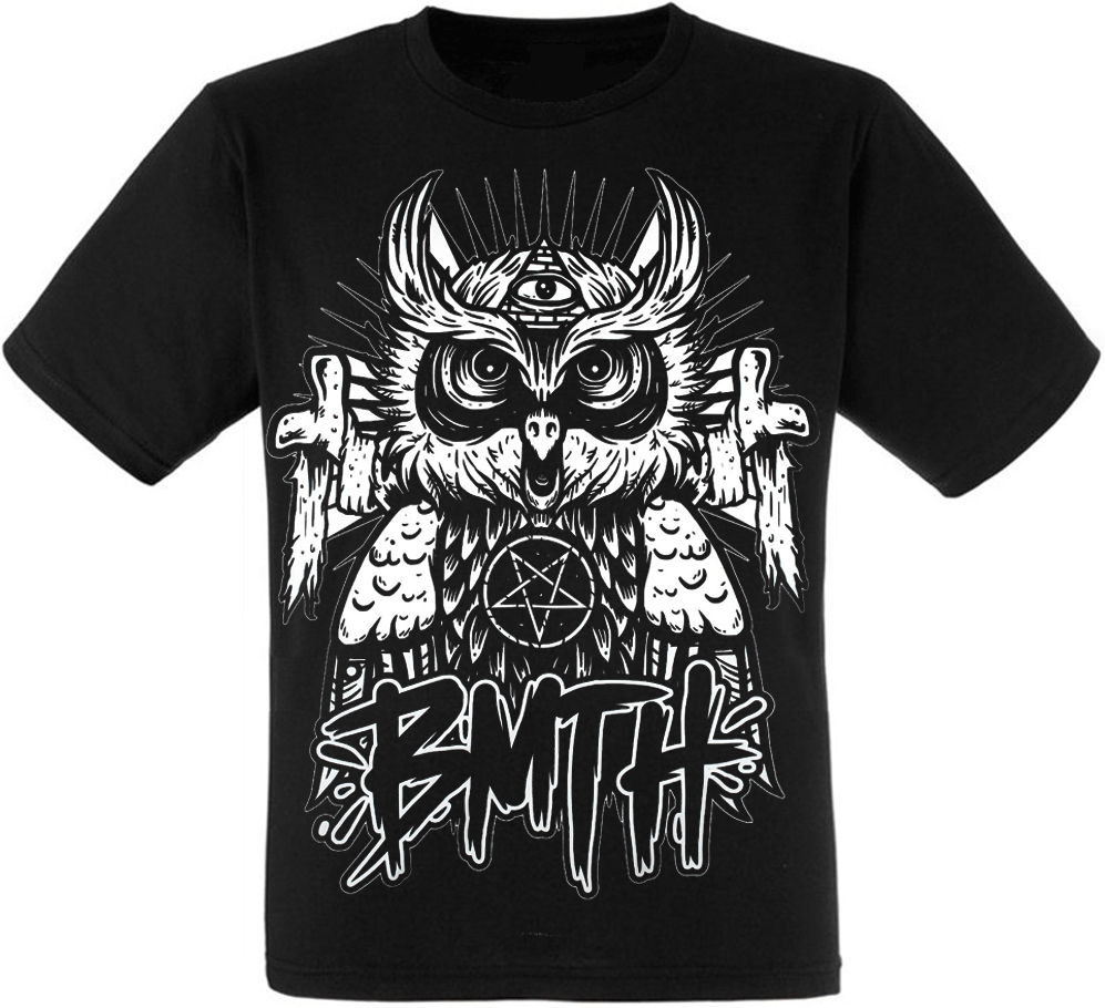 

Футболка Fat Cat Bring Me The Horizon (owl) XXL 11988