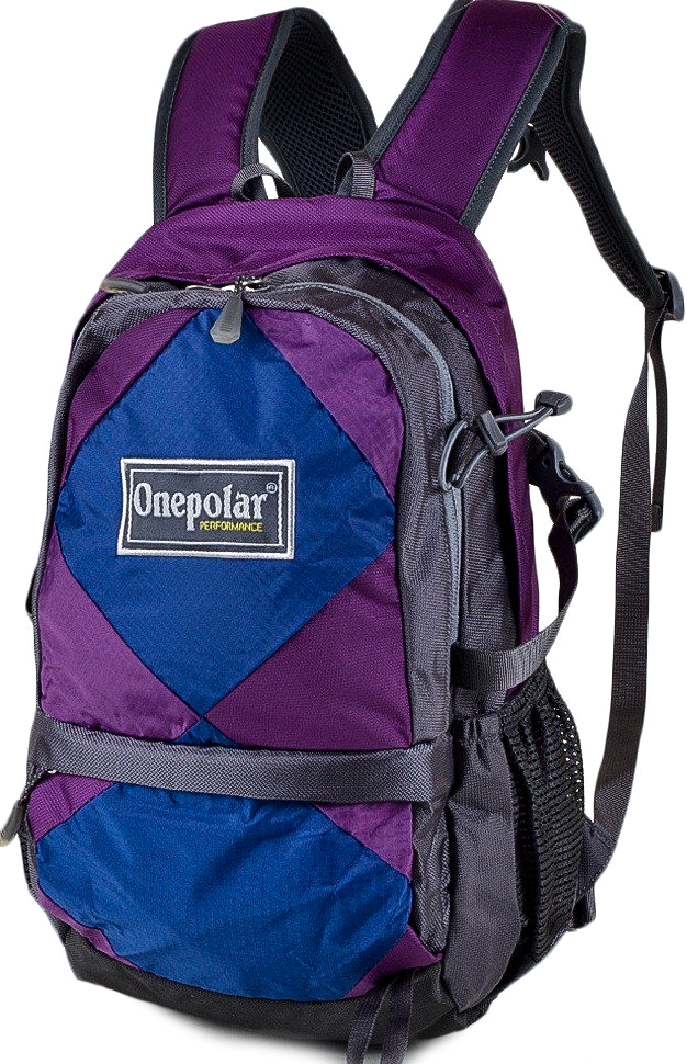 

Детский рюкзак (W1590-violet) Onepolar 39х23х16 см Фиолетовый 000131141