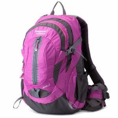 

Рюкзак ONEPOLAR W1539 туристический фиолетовый