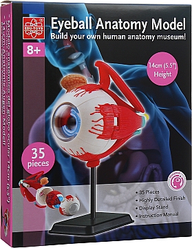 

Анатомическая модель человеческого глазного яблока сборная - Edu Toys (20-925887)