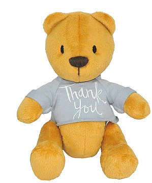 

Мишка "Денни" thank you, 25 см - Tigres (20-772968)