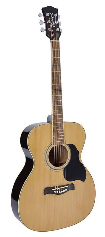 

Вестерн гитара Richwood RA-12 194349