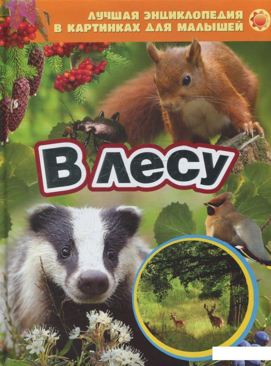 

В лес (480409)